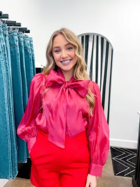 Organza Blouse Top