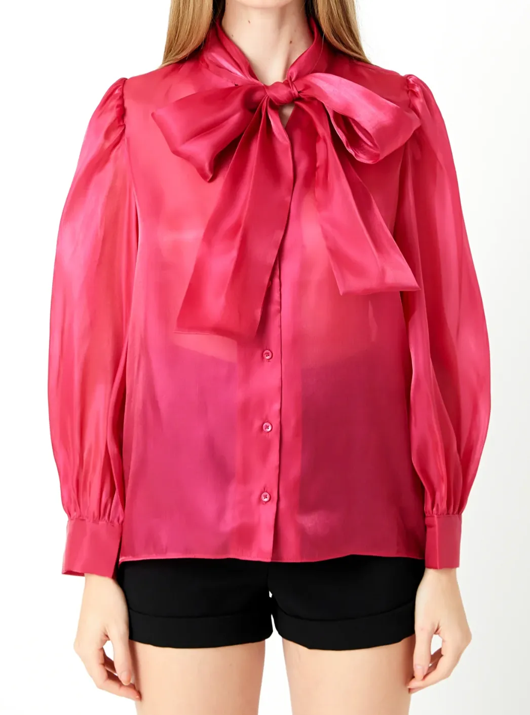 Organza Blouse Top