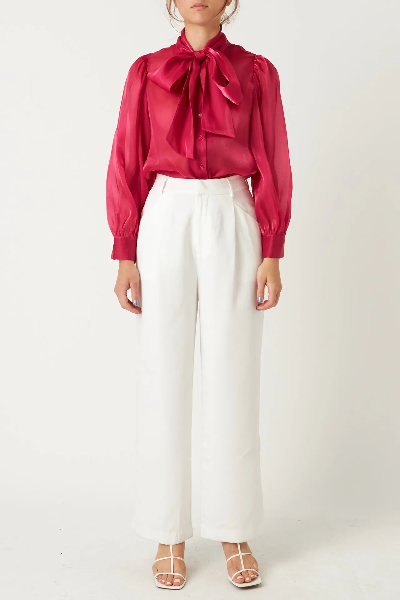 Organza Blouse Top