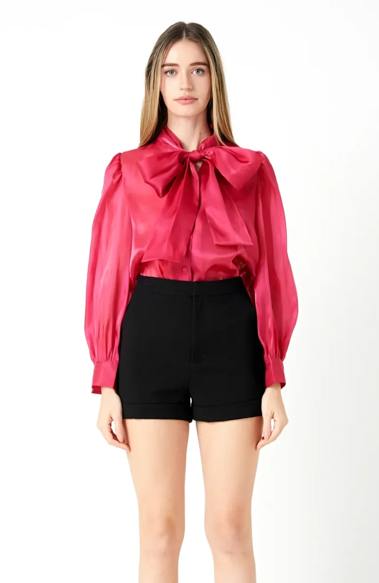Organza Blouse Top